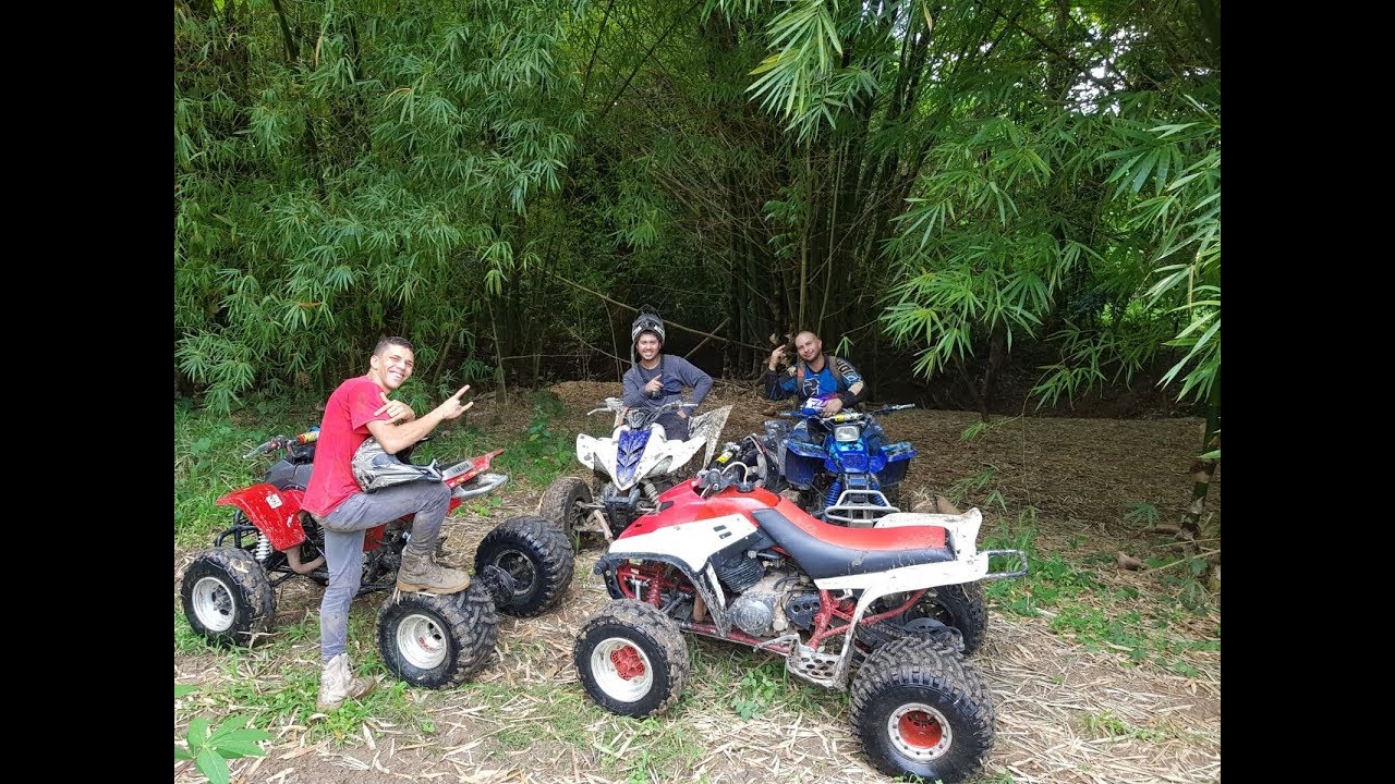 Atv ai point hyundai