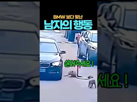 하수구에 빠진 강아지 천사를 만나다 thumbnail