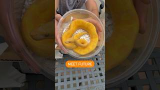 UNBOXING OUR NEW SNAKE #ballpython #reptiles #animals #snake #pets #shorts #viral #fyp