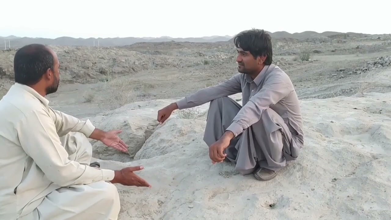 بلوچی تامر جاڑاپ