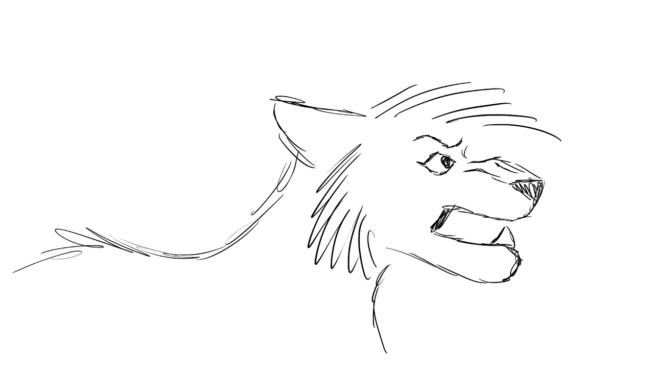 Warriors animation 