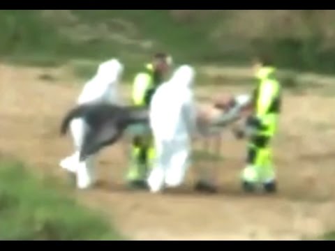 Possible Leaked Mermaid Proof/Evidence Found 2016?! [Mermaid Proof/Evidence]