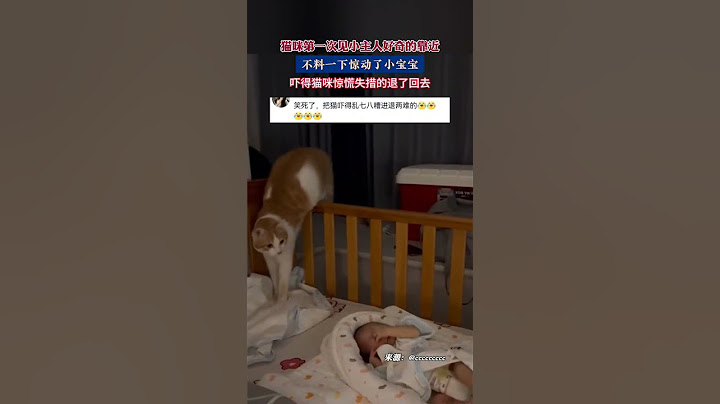 社会百态 | 猫咪第一次见小主人好奇的靠近，不料一下惊动了小宝宝，吓得猫咪惊慌失措的退了回去