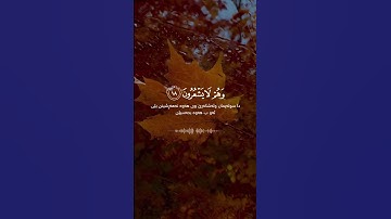 إسلام صبحي سورة النمل Islam Sobhi Surat Al Naml