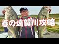 3月末から4月初めの最強パターン！【遠賀川】