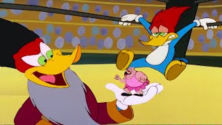 Pica-Pau, o Lutador de Wrestling | Pica-Pau em Português