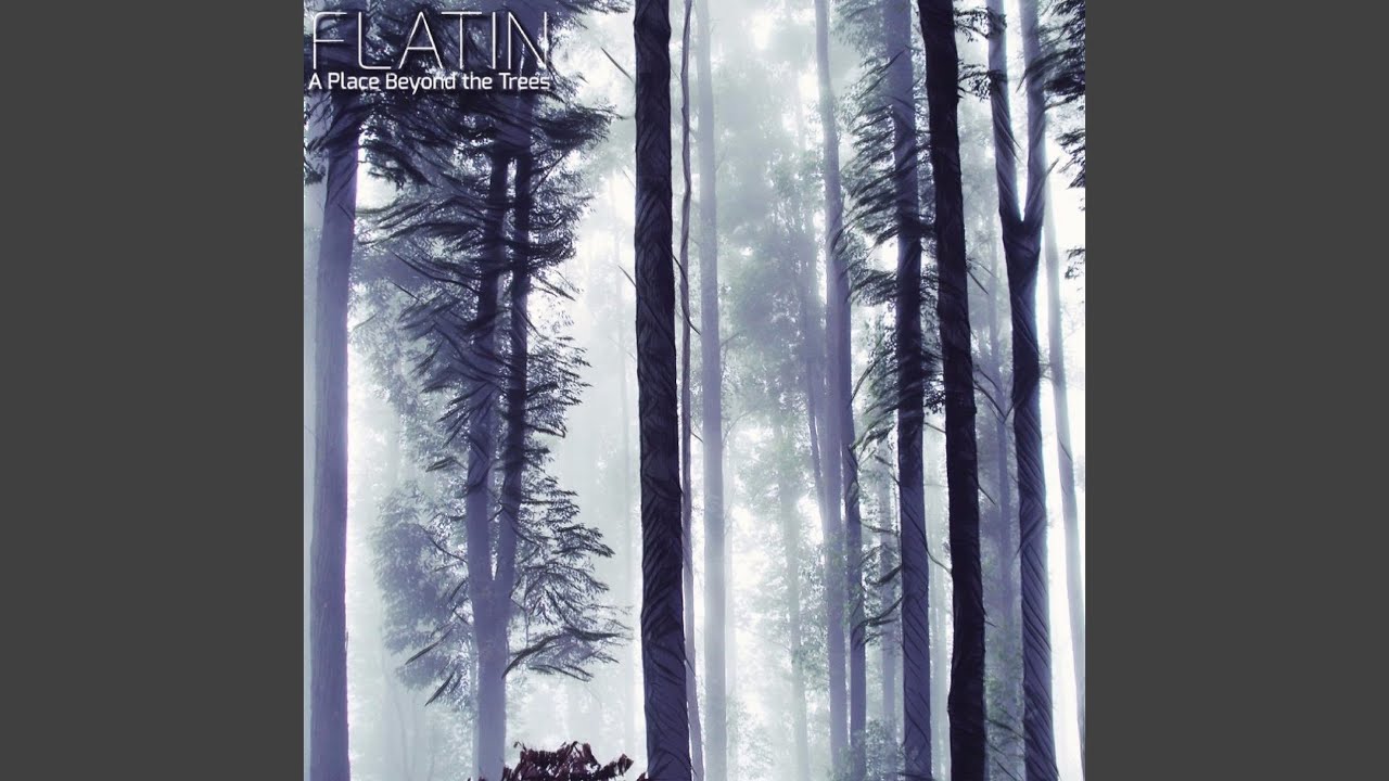 A Place Beyond the Trees