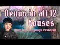 Venus in all 12 astrological houses, your love language and how you attract a partner