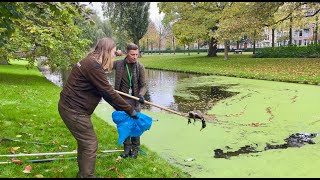 Download Lagu Wat doe je met dode dieren? | #Ons010 MP3