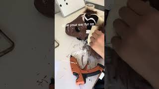Full video  How to Make a Dino Mask Fursuit Head