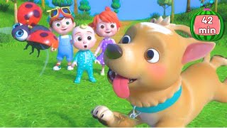 🔴 BINGO SONG 🐕+ More BEST CoCoMelon | Nursery Rhymes & Kid Songs