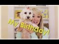 My Birthday! | Meghan McCarthy