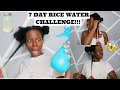 THE TRUTH ABOUT RICE WATER FOR HAIR GROWTH! 7 DAY CHALLENGE 4C HAIR