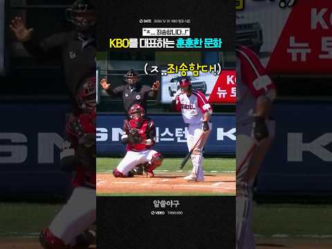 <strong>송찬의</strong>