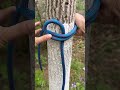 ​How to Tie a Bowline Knot for Secure and Reliable Anchoring