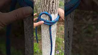 How to Tie a Bowline Knot for Secure and Reliable Anchoring