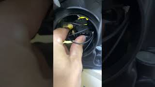 IMG 1374