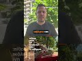 Τσακάλι επιτέθηκε σε 4χρονη σε αυλή ταβέρνας στην Πολίχνη, την τραυμάτισε στο πρόσωπο.