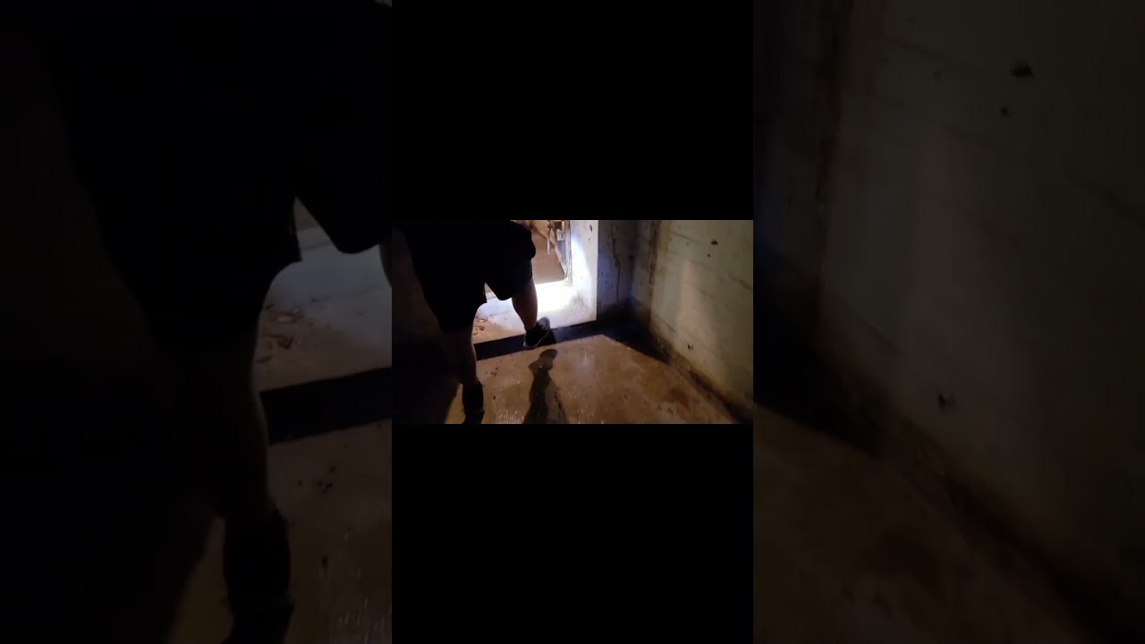 Railway Shelter in Stępina