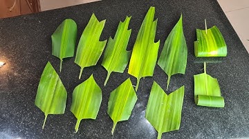 Cách tỉa lá - Những kiểu cắt lá thiết cơ bản 🍀🌸🍀🌸🍀🌸🍀