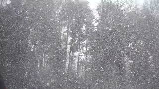 Video Of Snowfall