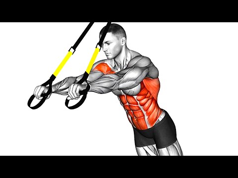 Bodyweight Training Suspended Strength Exercises