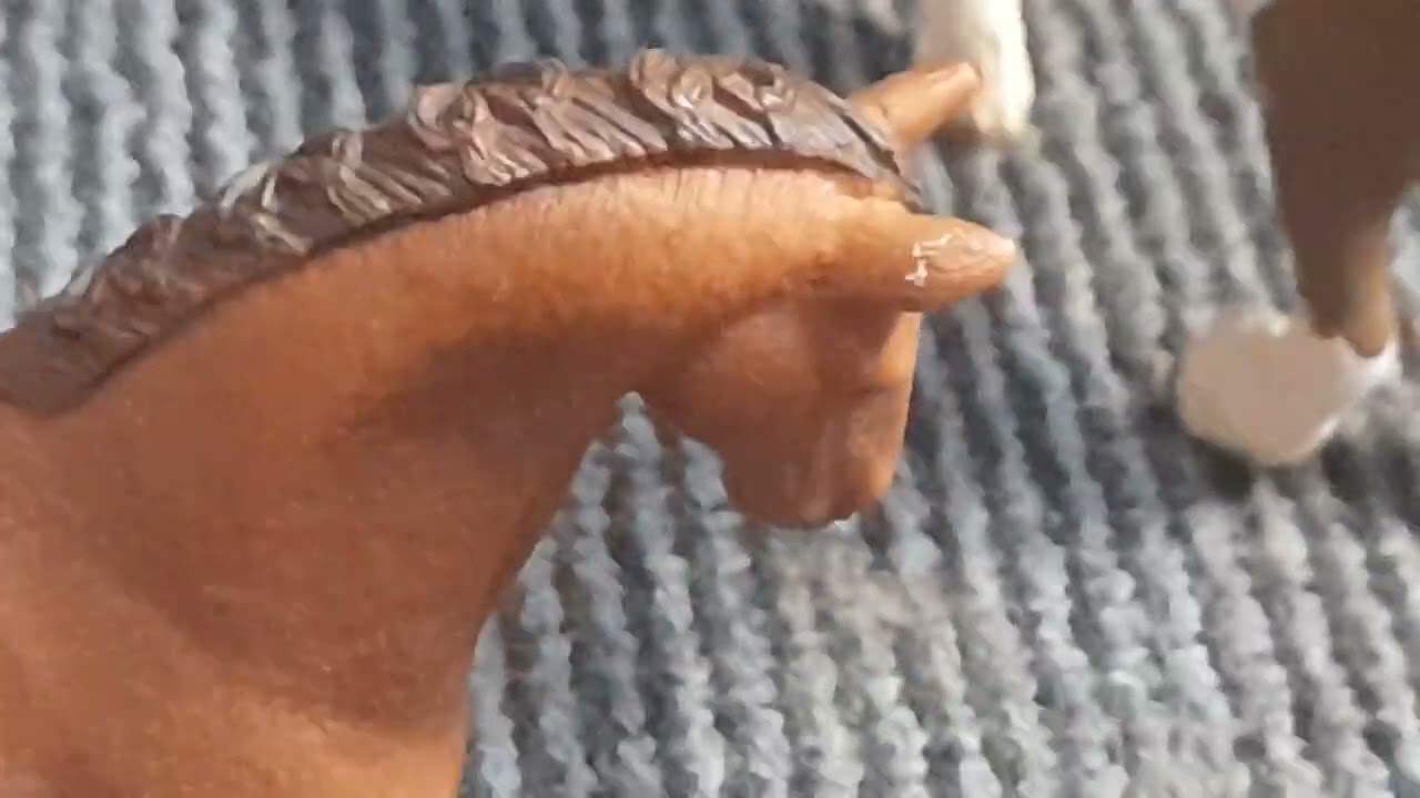 Part two of barn tour Last part