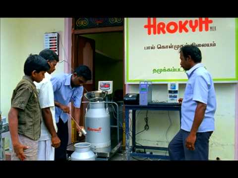 Arokya Milk  From our villages Milk Collection