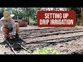 The daily grow ep 2 setting up drip irrigation
