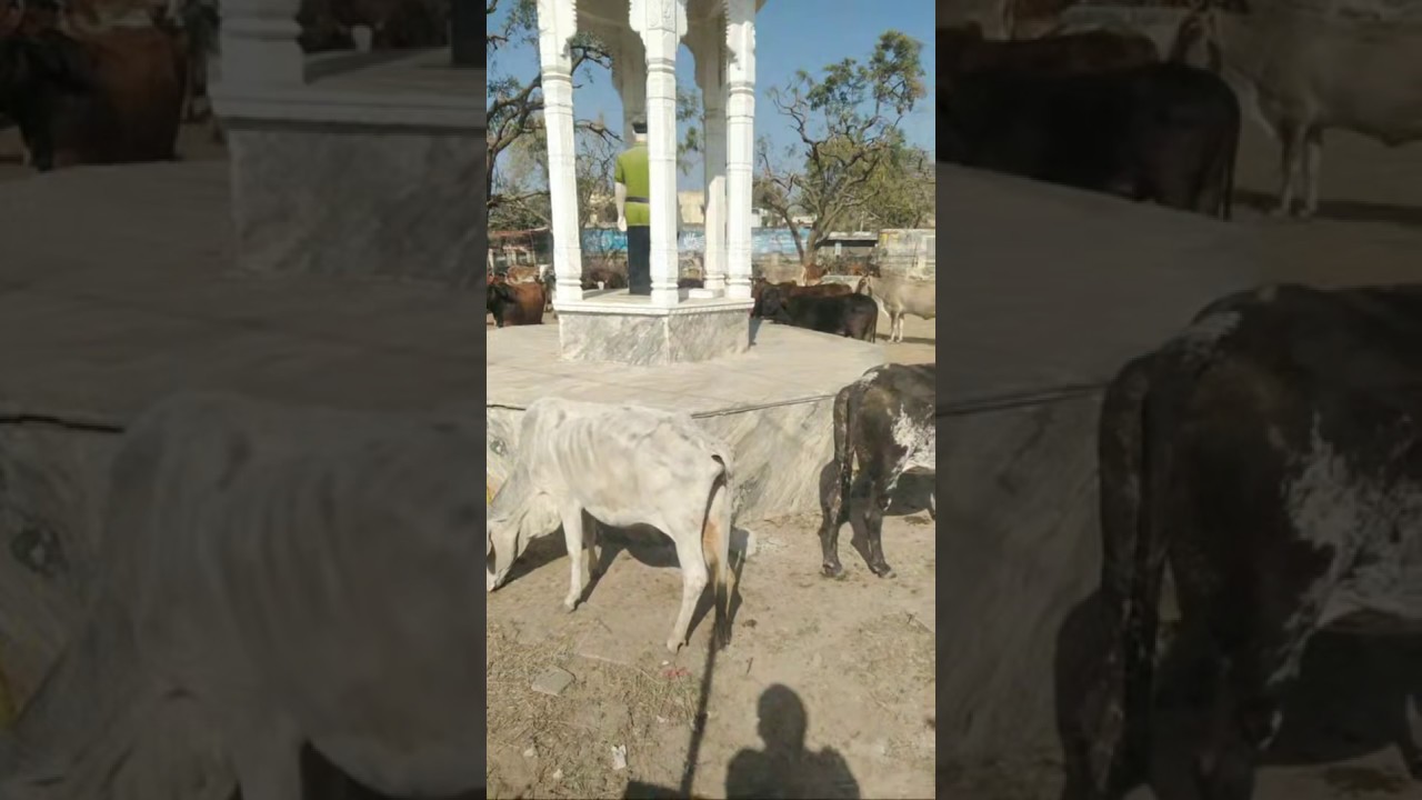 Shahid Samarak Matrikund