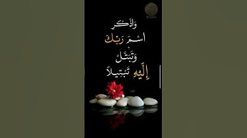 آيات من سورة المزمل ❤️ #اكسبلور #sleep #لايك #الشيخ #القران_الكريم #تلاوة_خاشعة #تلاوة_هادئة