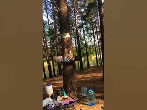 Караканский бор#релакс#караканскийбор#куда поехатьс палатками# ...
