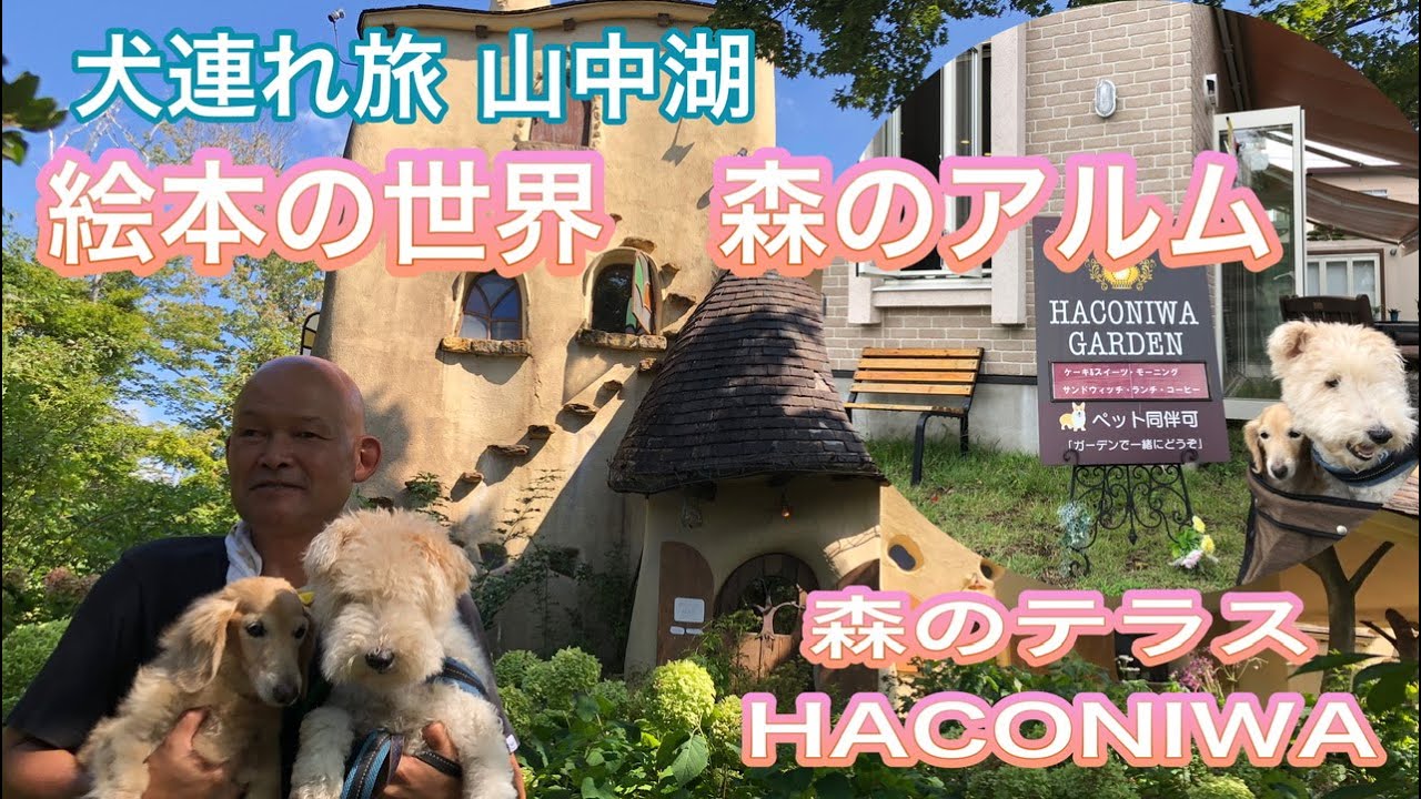 【#犬連れ 旅 #山中湖 】絵本の世界 #森のアルム & #ハコニワ #富士山 #ワイヤーフォックステリア  #ダックスフンド