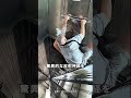 強そうな男にドッキリを仕掛けてみたら