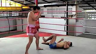 таискии бокс