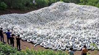 Download Lagu Dünya Genelinde Garip Şeyler Oluyor; Kimse Nedenini Bilmiyor! MP3