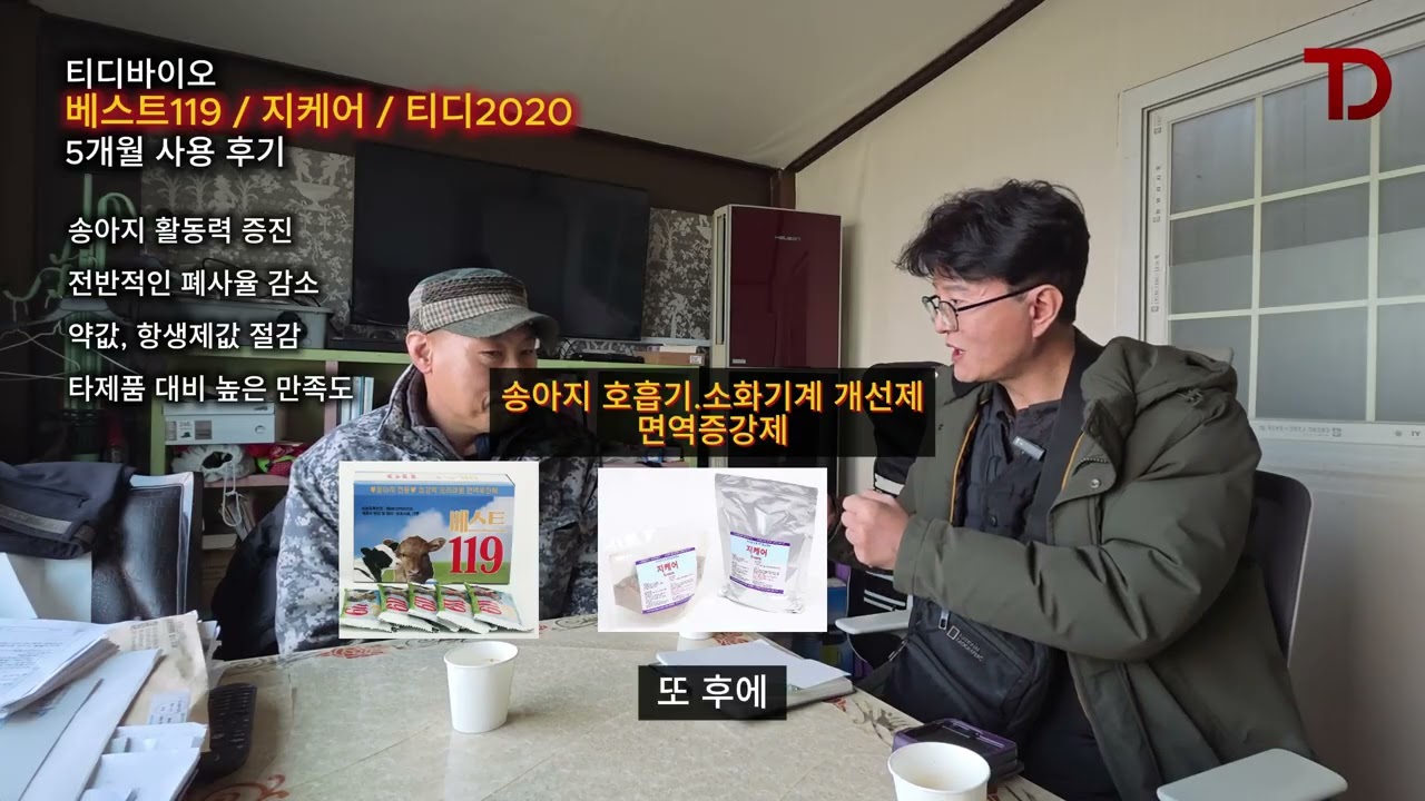 초유떼기 농장 / 티디바이오 제품 후기 인터뷰 / 농장 성적 향상, 폐사율 감소, 활력 증진 / 송아지 / 한우 / 육우 / 돼지 목장 농장