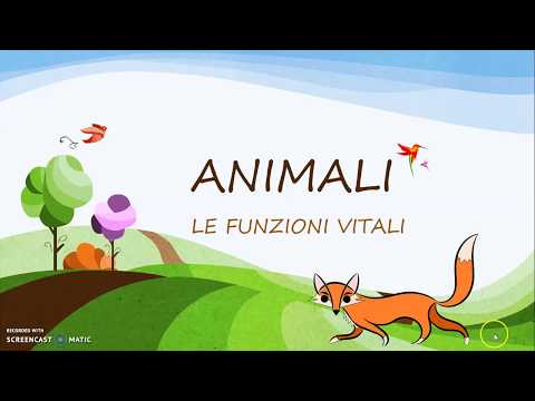 Gli animali e le loro funzioni vitali spiegate ai bambini