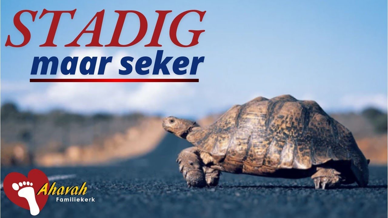 Stadig maar seker