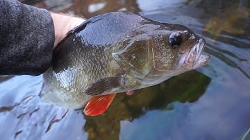 Dropshotting URBN Style