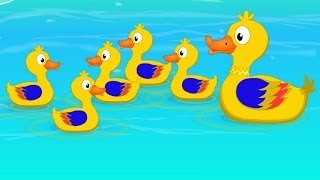 Five Little Ducks Went Swimming One Day | Children's Song | Kids Tv Nursery Rhymes