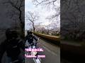 今年も宮城の桜が満開!!🌸「将監風致公園」×「YAMAHA」SR400 #sr400 #桜 #仙台 #桜の名所