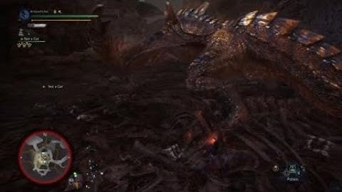 Monster Hunter World: Iceborne SnS DPS check