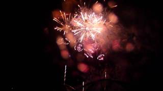 20090726豊田015日本煙火芸術協会スターマイン「夜空に描く大きな水族館」
