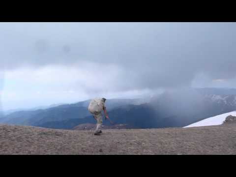 თხუნელა შეტევაზე