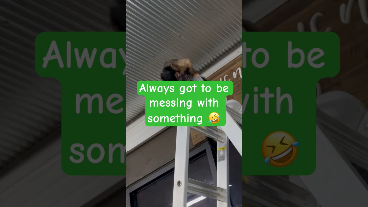 Just giving us more stuff to fix🤣 