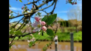 Tedere Momenten Van De Lente...........