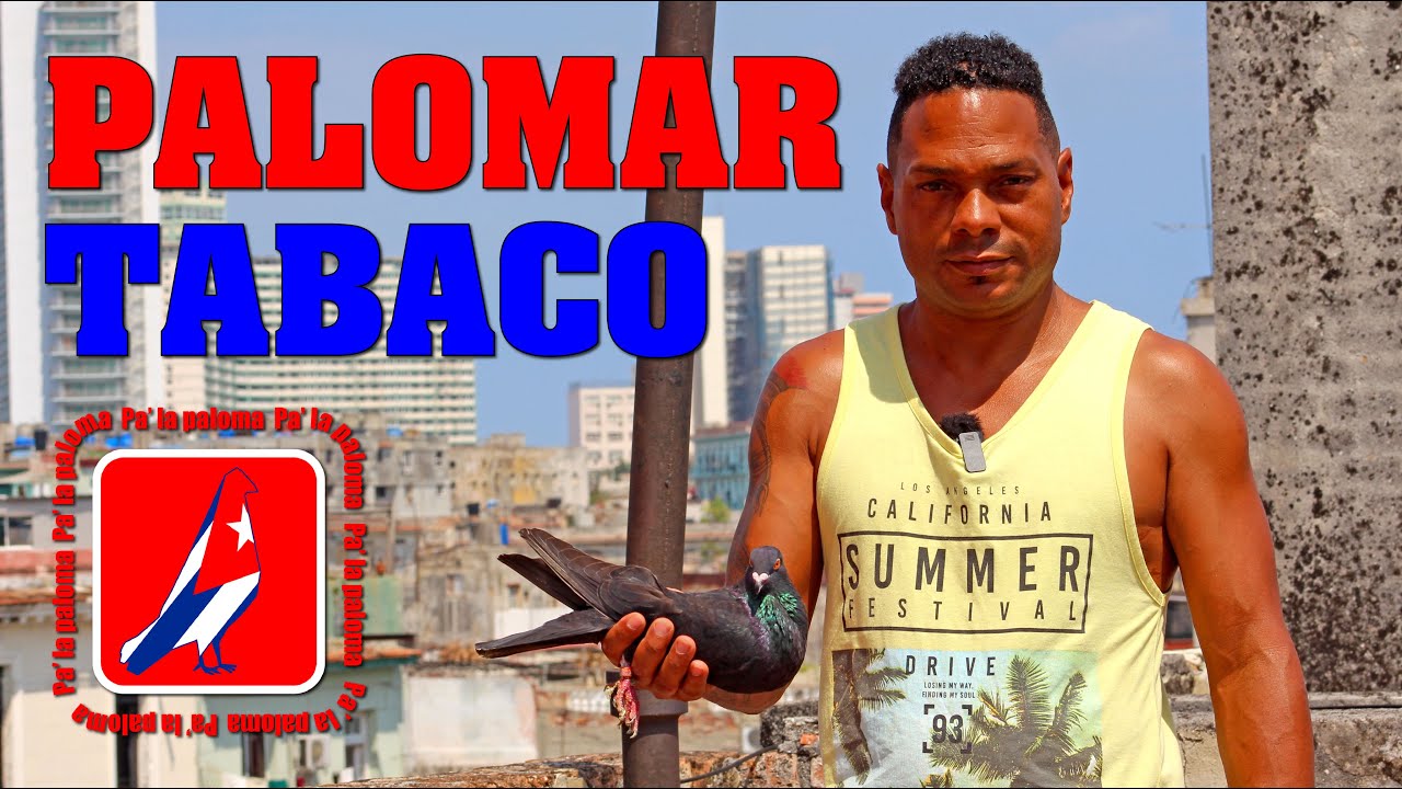 PALOMAR de CONQUISTA de GERARDO 