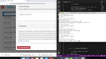 SIT232 - Task 3.1P - Video