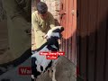 جنات👽 #viral #unfrezzmyaccount #youtubeshorts #trending